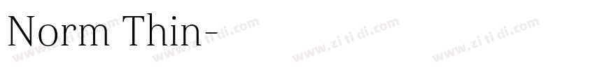 Norm Thin字体转换